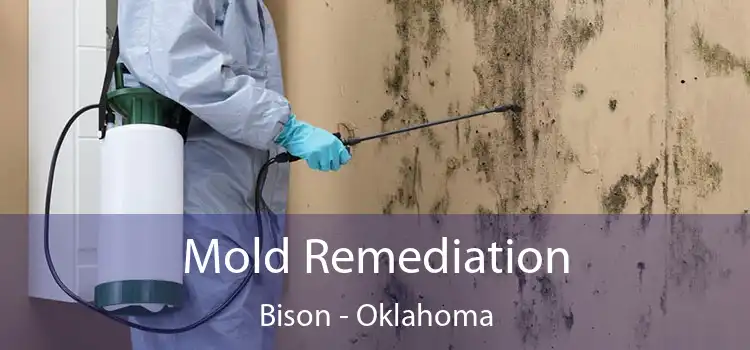 Mold Remediation Bison - Oklahoma