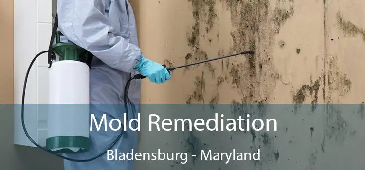 Mold Remediation Bladensburg - Maryland