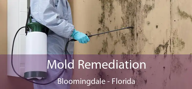 Mold Remediation Bloomingdale - Florida