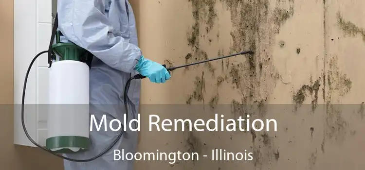 Mold Remediation Bloomington - Illinois