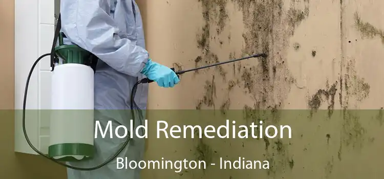 Mold Remediation Bloomington - Indiana