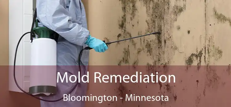 Mold Remediation Bloomington - Minnesota