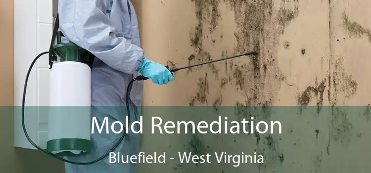 Mold Remediation Bluefield - West Virginia