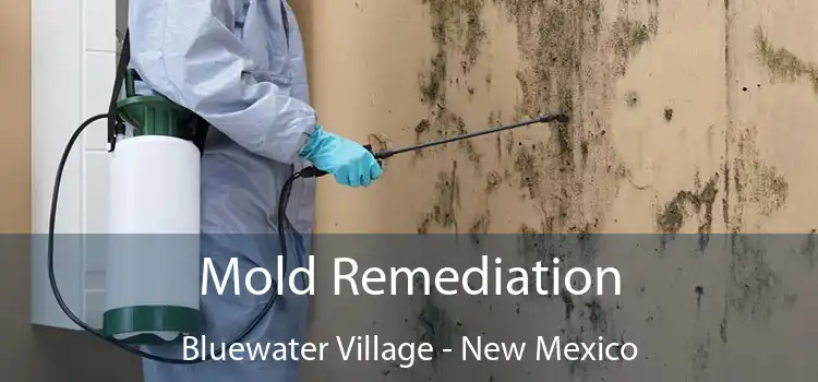 Mold Remediation Bluewater Village - New Mexico