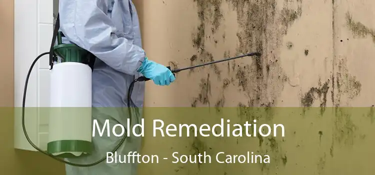 Mold Remediation Bluffton - South Carolina