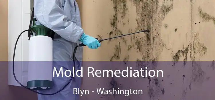 Mold Remediation Blyn - Washington