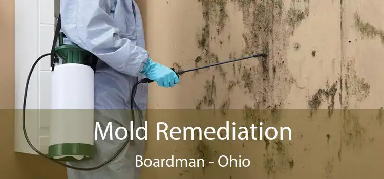 Mold Remediation Boardman - Ohio