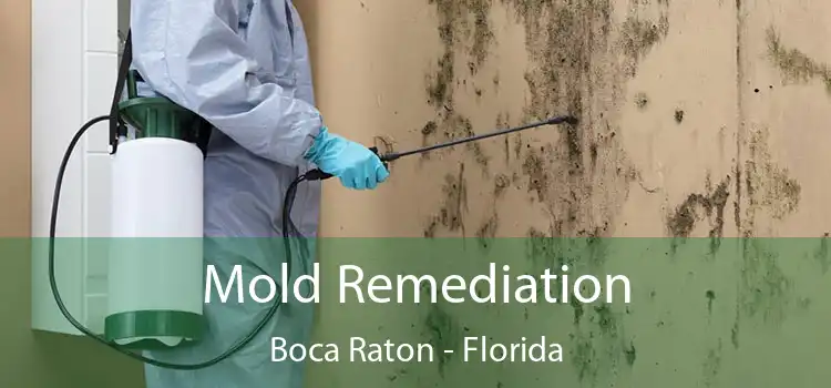 Mold Remediation Boca Raton - Florida