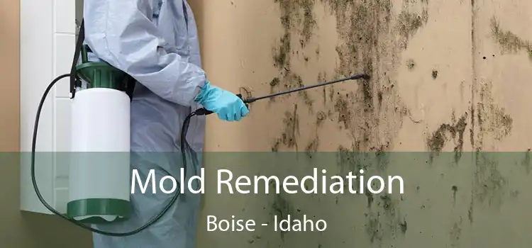 Mold Remediation Boise - Idaho