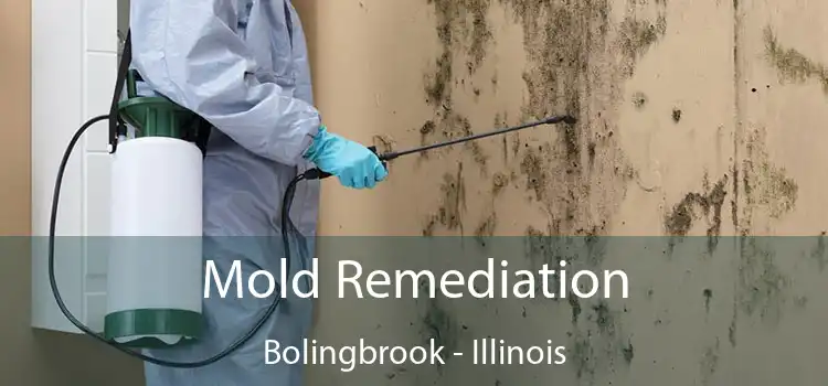 Mold Remediation Bolingbrook - Illinois