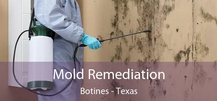 Mold Remediation Botines - Texas