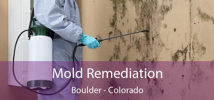 Mold Remediation Boulder - Colorado