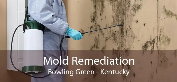 Mold Remediation Bowling Green - Kentucky