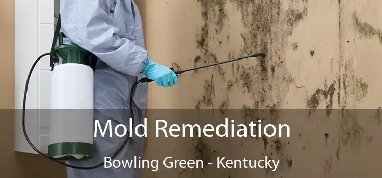 Mold Remediation Bowling Green - Kentucky