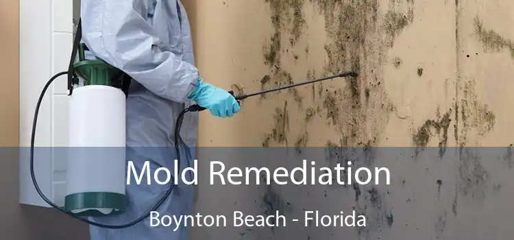 Mold Remediation Boynton Beach - Florida