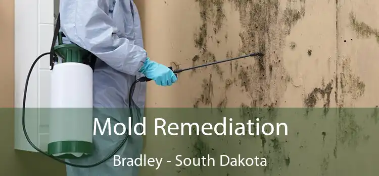 Mold Remediation Bradley - South Dakota