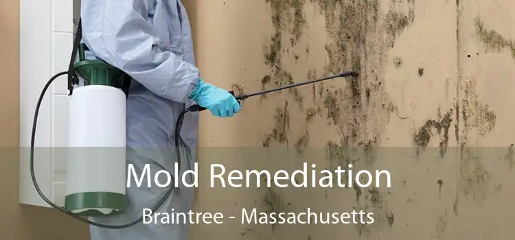 Mold Remediation Braintree - Massachusetts