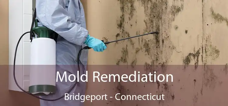 Mold Remediation Bridgeport - Connecticut