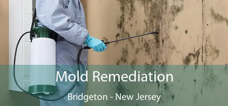 Mold Remediation Bridgeton - New Jersey