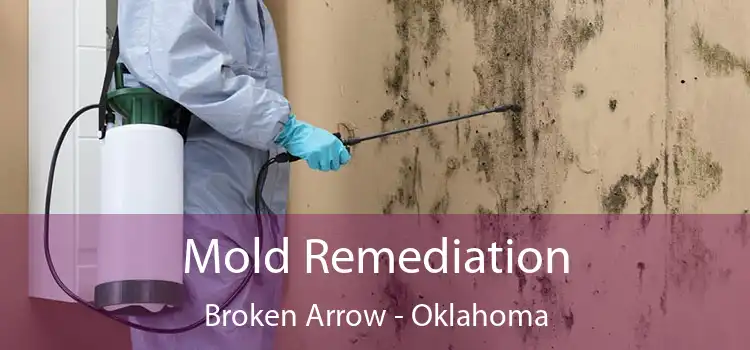 Mold Remediation Broken Arrow - Oklahoma