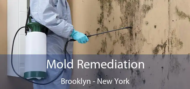 Mold Remediation Brooklyn - New York