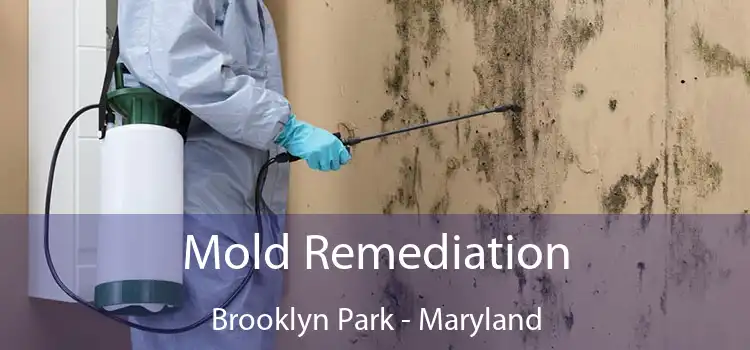 Mold Remediation Brooklyn Park - Maryland