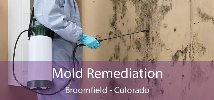 Mold Remediation Broomfield - Colorado