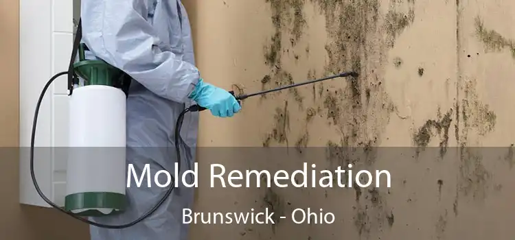 Mold Remediation Brunswick - Ohio