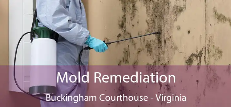 Mold Remediation Buckingham Courthouse - Virginia