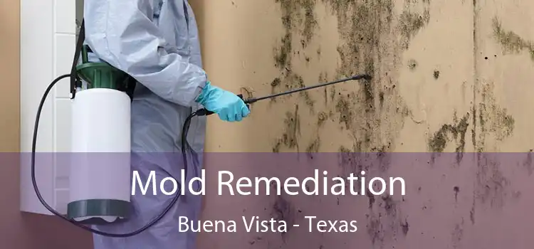 Mold Remediation Buena Vista - Texas