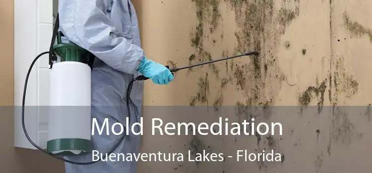 Mold Remediation Buenaventura Lakes - Florida