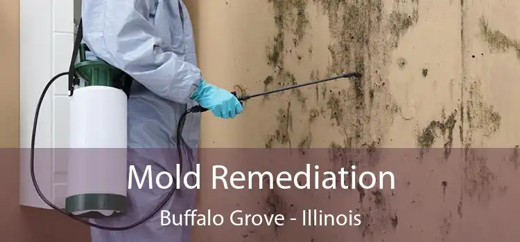 Mold Remediation Buffalo Grove - Illinois