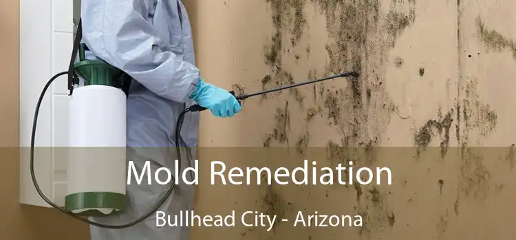 Mold Remediation Bullhead City - Arizona