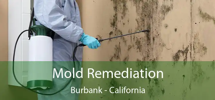 Mold Remediation Burbank - California