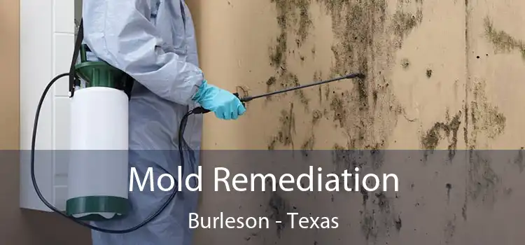 Mold Remediation Burleson - Texas