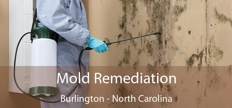 Mold Remediation Burlington - North Carolina