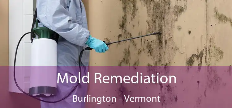 Mold Remediation Burlington - Vermont