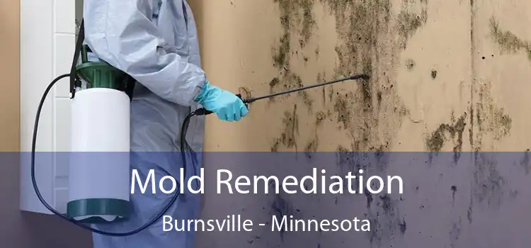 Mold Remediation Burnsville - Minnesota