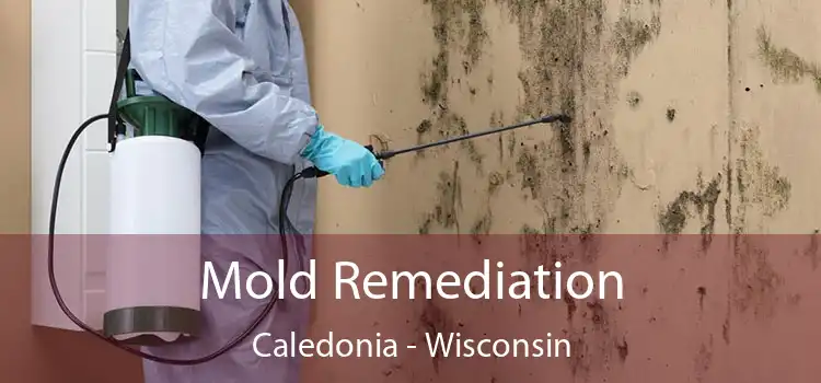 Mold Remediation Caledonia - Wisconsin