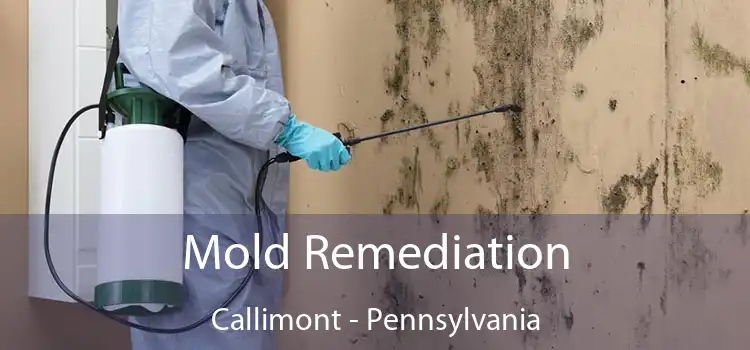 Mold Remediation Callimont - Pennsylvania