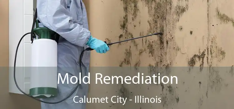 Mold Remediation Calumet City - Illinois