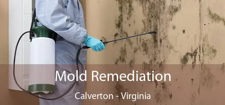 Mold Remediation Calverton - Virginia