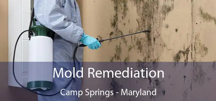 Mold Remediation Camp Springs - Maryland