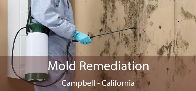 Mold Remediation Campbell - California