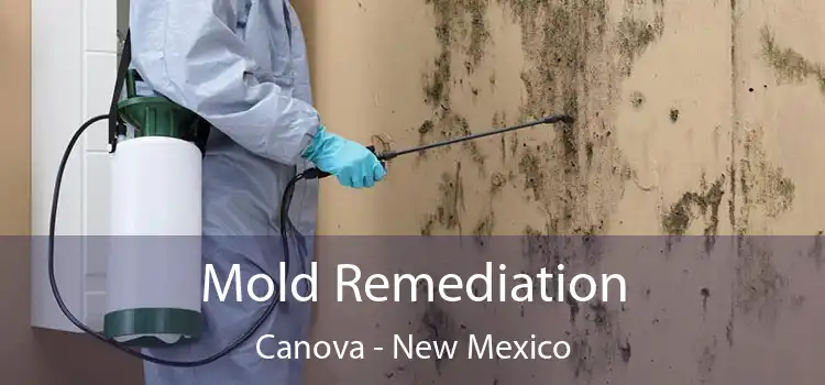 Mold Remediation Canova - New Mexico