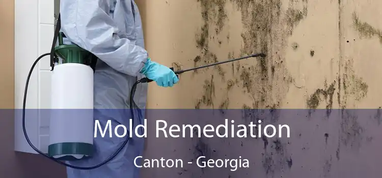 Mold Remediation Canton - Georgia