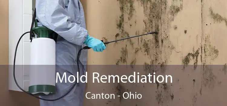 Mold Remediation Canton - Ohio