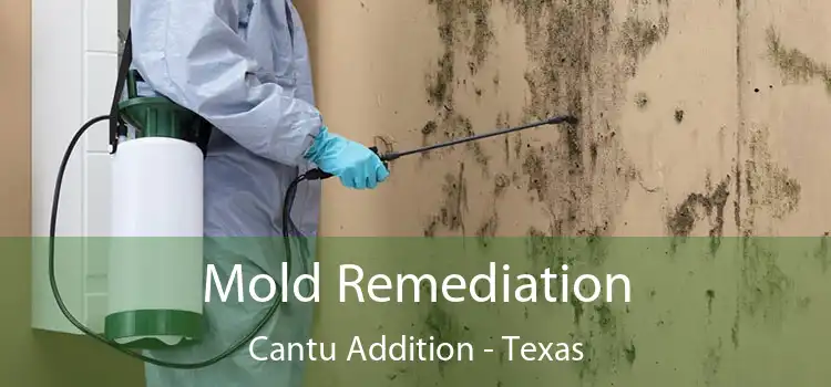 Mold Remediation Cantu Addition - Texas