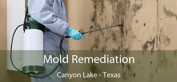 Mold Remediation Canyon Lake - Texas