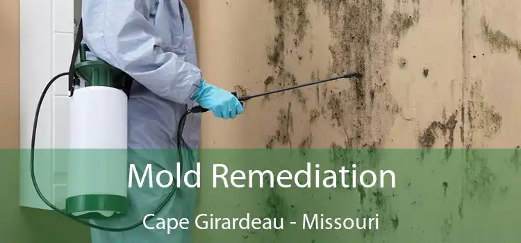 Mold Remediation Cape Girardeau - Missouri